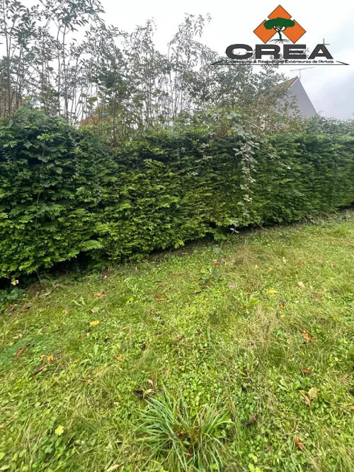 Chantier Biache 2 biache2