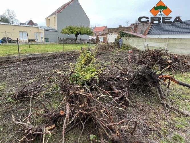 Chantier Biache 7 biache8