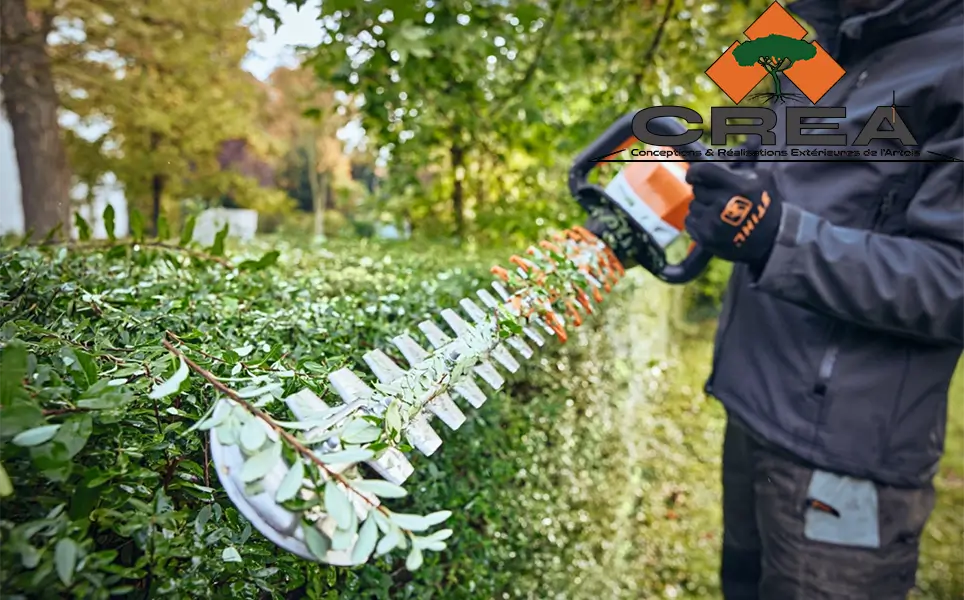 photo d'un homme en train de tailler une haie