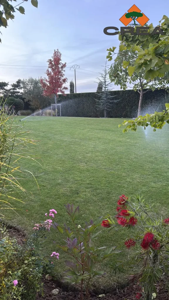 Jardin + arrosage automatique