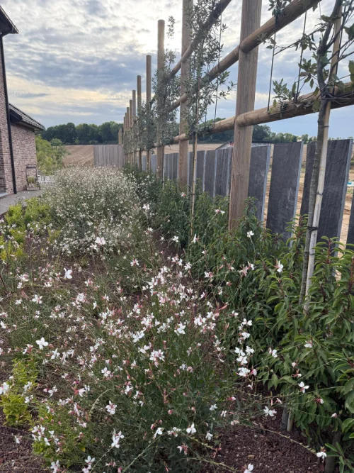 30 idées d'aménagement extérieur pour transformer votre jardin en 2026 3 photo d'un jardin fleuri