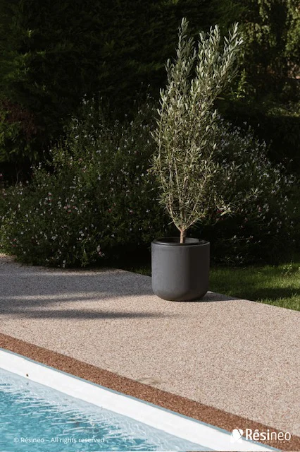 CREA devient Applicateur Agréé Résineo 8 Un olivier en pot près d'une piscine